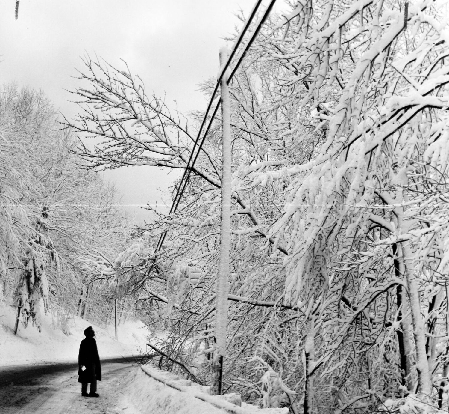 Mohawk Trail